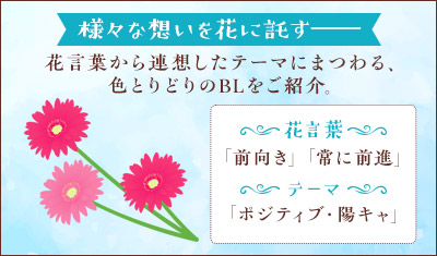 ボーイズラブと花ことば 10月 ガーベラ「前向き」「常に前進」