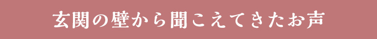 玄関の壁から聞こえてきたお声