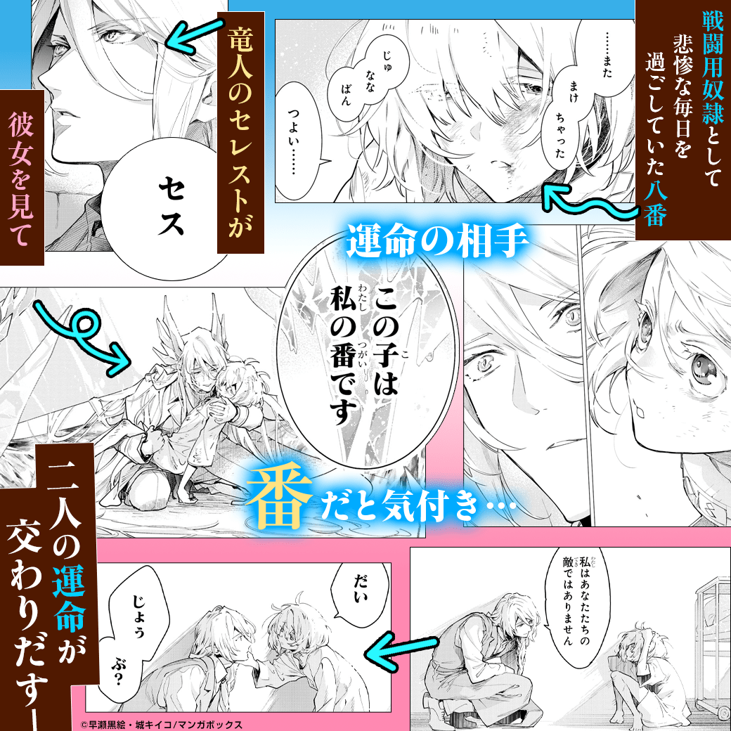 元戦闘用奴隷ですが、助けてくれた竜人は番だそうです。【分冊版】