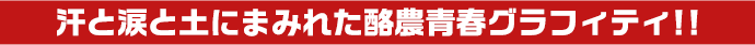 汗と涙と土にまみれた酪農青春グラフィティ