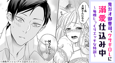 鬼ガオ御曹司、ウサギOLに溺愛仕込み中～毎晩じっくりエッチな特訓～