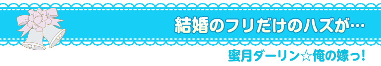 蜜月ダーリン☆俺の嫁っ!