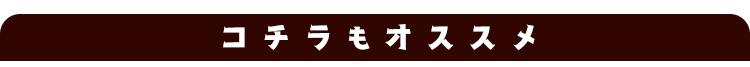 コチラもオススメ