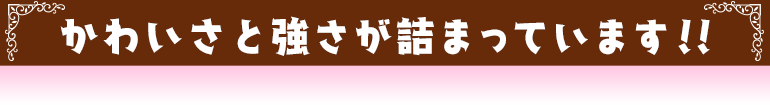 かわいさと強さが詰まっています！！