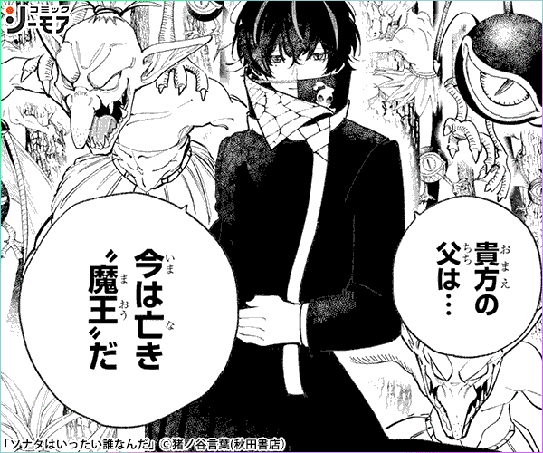 ソナタはいったい誰なんだ(話売り)